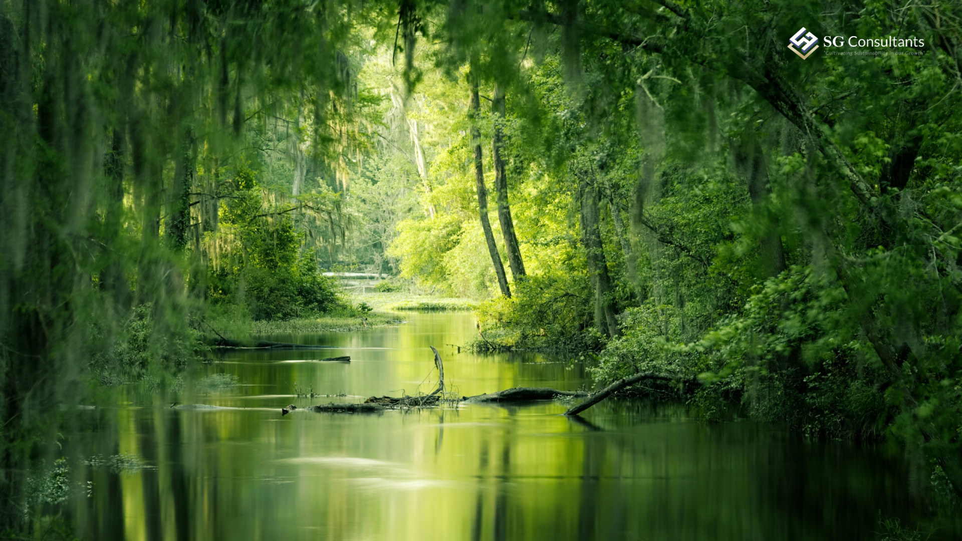 Biophilic Design